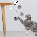 Miniatyrbild 6 av 10: Cat Toy Ball Teaser C C C