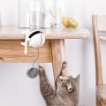 Miniatyrbild 7 av 10: Cat Toy Ball Teaser C C C