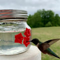 Miniatyrbild 4 av 8: Hummingbird Feeder foderporte Mason Jar