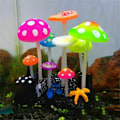 Miniatyrbild 7 av 10: 9 stk Vanngress Lotus-sopppynt TYPE 5 TYPE 5 Type 5