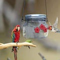 Miniatyrbild 7 av 8: Hummingbird Feeder foderporte Mason Jar