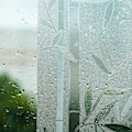 Miniatyrbild 10 av 10: Fönsterfilmer Glasdekal C C C