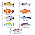 Miniatyrbild 3 av 10: Floppy Fish Cat Legetøj STYLE 2 STYLE 2 Style 2