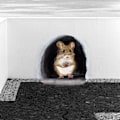 Miniatyrbild 4 av 10: 5kpl 3D-hiiritarra seinätarrat 04 04