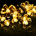 Miniatyrbild 9 av 10: Lyssnore Solar String Lights MULTICOLOR 20 20 multicolor 20-20