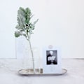 Miniatyrbild 10 av 10: Kunstige flokkende planter Simulering Løvverk Kanin Øreblader