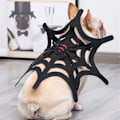 Miniatyrbild 6 av 10: Lemmikkien halloween-vaatteet muuttuneet M M