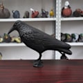Miniatyrbild 5 av 7: Simulaatio Crow Black Raven Raven Prop