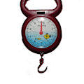 Miniatyrbild 5 av 10: Hengende skala Spring Scale Tall Pointer random color