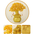 Miniatyrbild 2 av 10: Money Tree Lucky Tree MIDDELMIDDEL Medium