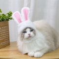Miniatyrbild 4 av 10: Pet Bunny Huvudbonader Påskhare Kanin Hatt GUL yellow