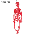 Miniatyrbild 1 av 10: Menneskelige skelet Krop Knogler Model ROSE RED rose red