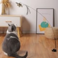 Miniatyrbild 9 av 10: Kattungeleker Teaser Fjær TYPE1-C TYPE1-C Type1-C