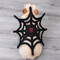Miniatyrbild 5 av 10: Lemmikkien halloween-vaatteet muuttuneet M M