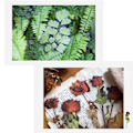 Miniatyrbild 9 av 10: Terälehtitarrat Flower Collection -sarja 08 08 08