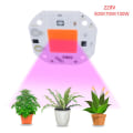 Miniatyrbild 6 av 10: LED COB Chip Grow Light 50W 50W