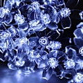 Miniatyrbild 10 av 10: Lyssnore Solar String Lights MULTICOLOR 20 20 multicolor 20-20