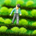 Miniatyrbild 8 av 10: Flower Cluster Landscape Wargame 9 9 9