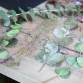 Miniatyrbild 8 av 10: Scrapbogsklistermærker Plantetiket Tørret blomst F