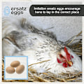 Miniatyrbilde 3 av 5: Falske Kyllingegg Sett Tre Falske Egg Hjelper Høner med Egglegging DXGHC