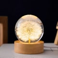 Miniatyrbilde 3 av 5: 2024 Ny blomst isballlampe, glassmasos, gaver til kvinner, mor, barn