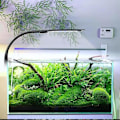 Miniatyrbillede 5 af 5: LED Akvarielampe med Hvid,e og Blåt Lys, 2.5A, Sort