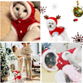 Miniatyrbillede 3 af 5: 1 stk. Julekostume til hund og kat til små og mellemstore kæledyr (L)