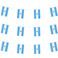 Miniatyrbillede 1 af 4: 2 pakke VM top 32 lande flag (Argentina)