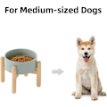 Miniatyrbillede 4 af 5: Keramisk Forhøjet Hundebolle med Stativ til Mellemstore og Store Racer Hundefoder og Vandskål (Enkel Skål med Stativ - Lysegrøn, 15,5 cm)