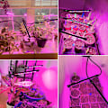 Miniatyrbilde 5 av 5: Vekstlys for innendørs planter, 40 LED fullspektrum LED-vekstlys, 2 klipsfestede hoder for frøplanter, med 3/9/12H automatisk på/av-timer