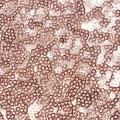 Miniatyrbillede 3 af 4: Sequin Bordløber ROSE GOLD-12X108 Tommer Glitter Bordløber