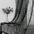 Miniatyrbild 3 av 5: Svarta spetsgardiner, 2 st Svart