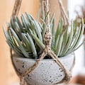 Pikkukuva 3 / 5: Jute Twine Rope 1mm, 200m Paksu Köysi Jute String Vahva Hamppu Köysi Johto Puutarha Köysi Diy Taiteen Käsitöihin