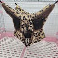 Miniatyrbillede 1 af 5: (Leopard print) Rotte hængekøjer til bur, 3 lag kæledyrshængekøje, blød