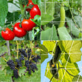 Miniatyrbillede 2 af 5: Net til klatreplanter, net til roning, plantning og høst af ærter, cu