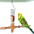 Miniatyrbillede 1 af 5: Fuglefoderholder, Papegøje Foderautomater til Fuglebur, Rustfrit Stål Hængende Fuglefodere, Fuglefoderkurv til Frugt, Grøntsager, Hvede, Tyggelegetøj til Conures, Parakitter, Kakaduer