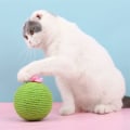 Miniatyrbild 2 av 5: Kaktusformad klösträdstolpe för katt, interaktiv leksak för katt, kaktusformad klösträdstolpe med blomma, klösträd med kattboll, present till katt