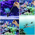 Miniatyrbillede 2 af 5: Aquascaping Værktøjer Akvatiske Plantepincet Saks Spatel Værktøj Akvarium Skrabere 4 i 1 Rustfrit Stål Akvarium Plante Værktøjer (Sort)