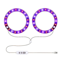 Pikkukuva 2 / 2: Led-kasvikasvuvalo Usb-täyden spektrin lamppu sisäkasvien taimille Koti Kukka Succulet Phytolamp