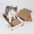 Miniatyrbild 3 av 5: Kattklösare, set med 3 kattklösare, wellpapp för