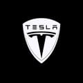 2 stk. Fit For Tesla Velkomstlys Dedikert Til TESLA MODEL3 X Mo