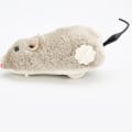 Miniatyrbillede 4 af 5: Kattemynte Mus Tilfældig Farve 1 stk Kattemynte Mus Kattemynte Legetøj Kattemynte Mus Kattemynte Legetøj Kattemynte Mus kat kattemynte legetøj