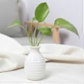 Miniatyrbillede 2 af 3: Plante Hydroponisk Keramisk Vase Kreativ Fremme Sund Vækst Plantekasse til Stue Soveværelse Studie White
