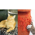 Miniatyrbild 4 av 4: Anti-Scratch Katt Träningstejp, Transparent Dubbelsidig Katt Repellent Tejp, Möbler Skydd För Soffa