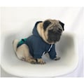 Miniatyrbild 3 av 5: L.Zipper Hooded Husdjurskläder Hund Katt Kläder Söta Husdjurskläder Varmt Hooded Fransk Bulldogg Mops