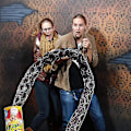 Miniatyrbilde 5 av 5: Chip Snake Kan Hoppe Spring Snake Toy-B