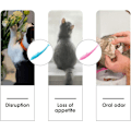 Miniatyrbild 3 av 5: 2 Kattleksak Tandvård Katt Tandhygien Katt Catnip Leksak Catnip Leksaker för Katt