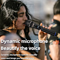 Miniatyrbillede 2 af 5: Trådløs mikrofon Dual Cordless Metal Dynamic Mic System