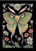 Diamantmålningssatser för vuxna, 5D diamantmålning Luna Moth,