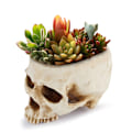 Pikkukuva 5 / 5: Halloween Hollow Scary Skull Plant Pot Dry Soot Resin Simulation